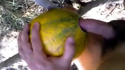 outdoor fun with melon