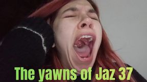 The yawns of Jaz 37