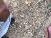 34 Another adventure in the woods