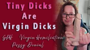Tiny Dicks Are Virgin Dicks
