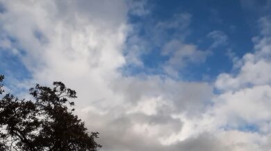 I met a forester girl with whom we fuck in a hut - Lesbian_illusion