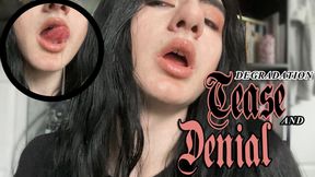 Degradation Tease And Denial