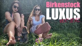 Leipziger Allerlei: Birkenstock-Luxus - Next Level (kleine Version)