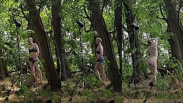Imagine you went for a walk in the woods and stumbled upon something interesting... ??