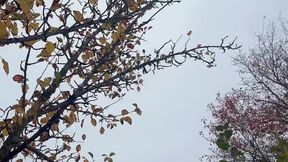 How Amazing She Piss