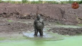 Mud bath in dark, creamy pond mud
