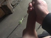 Risky jerk off in the stable