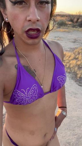 TS Stripper in the Desert