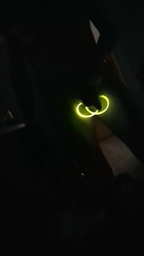 Glow in the Dark