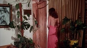 Taboo 1980