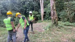 faltou material na obra e esses machos foram trepar no mato - 01