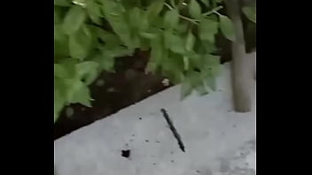 GretaLa - senza slip davanti il giardiniere