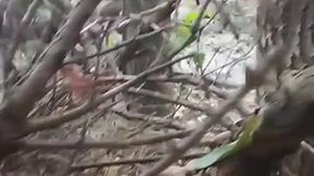 I jerk off in public place  Masturbate in the public park