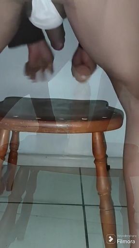 Training Sissy