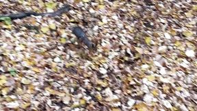 A date with a squirrel