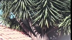 Hot outdoor fuck with nasty tanned transsexual