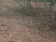 Caminando con MILF por la finca mostrando su cola al aire libre