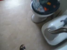 Swallow My Piss