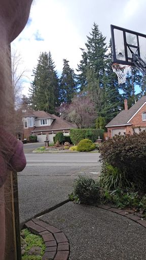 Outside for a Quick Walk Around