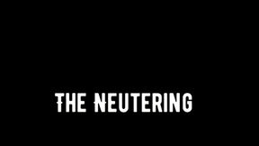 The Neutering