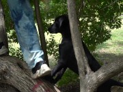 VIDEO DE ESTER DISFRUTA VER PERRA EN EL PARQUE
