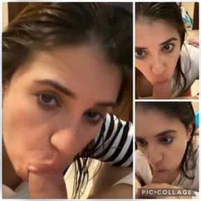 Suckerwife latina