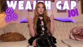WEALTH GAP JOI