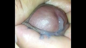 VID 20150821 170503