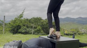 Crushing in the woods (another angle)