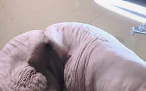 Theres 1001 Ways to Get Laid