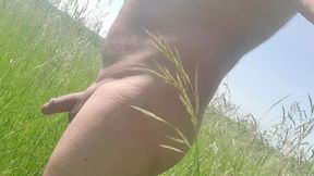 Walk of May 31, 2023 .<br />
Completely naked in a pretty meadow I walk quietly under a beautiful sun.