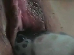 ERI Asian Amateur Japanese Toy