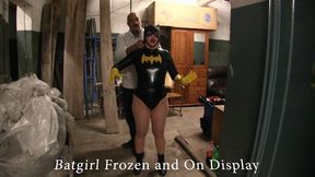 Batgirl gets Frozen solid and on display