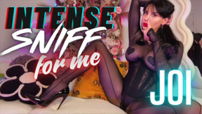 Intense Sniff for Me