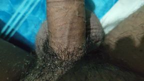 The Best Solo Fun! Watch My Hamster's Favorite Free Time Activities