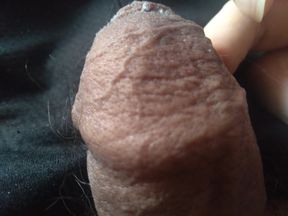 Teacher enjoys petting his big dick