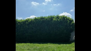 ️ Alex the Monkey&#039_s Journal:Today I tried to cut the grass.I don&#039_t know if I won... but the grass definitel ...