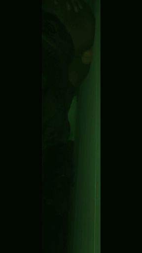 Night Vision: Balls Deep Anal Fuck with Bwc Dildo