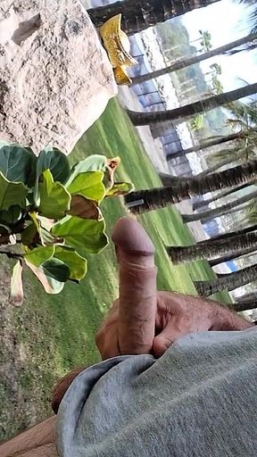 Public Beach Cock Flash