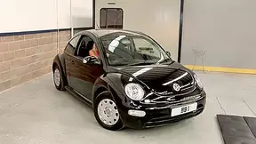 Three Lesbian bunnies and one small black beetle!
