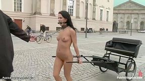 Darling Pulling Charios In Public