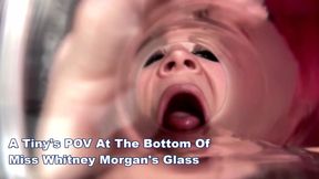 A Tiny At The Bottom Of Miss Whitney Morgan's Glass