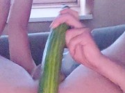 Boy fucks his ass with cucumber