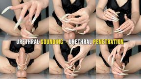 How Will I Play With Your Penis? | Urethral Sounding - Urethral Penetration - Scratching The Penis - Teasing The Penis | LINH'S LONG NAIL | CRAZY ABOUT LONG AND NATURAL NAILS