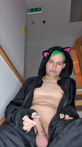 I missed the litter box   Clip 2