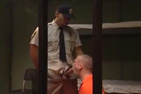 Gaol Four-way: Billy Wild, Papi Moreno, Josh OHara Ben