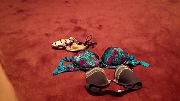 My wife&#039_s sister bra