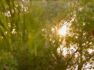 ”Rich Couple Seduces Ms. Willis & BESTFRIEND”