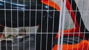 Latex Creature Confined Behind Bars