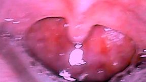 Mouth inside, Deep throat saliva drooling uvula dental spit bombs